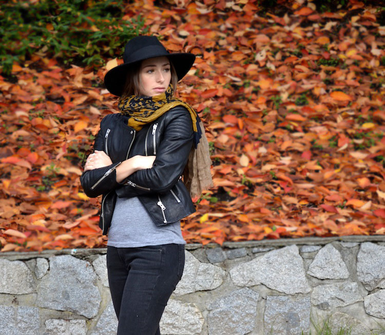 hm leather jacket, rag and bone ripped jeans, booties, felt fedora, leopard scarf, everyday uniform5