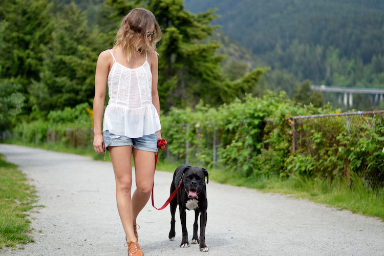 forever21 summer city post, white silk tank top, distressed jean shorts, brown sandals, aviators, the augsut diaries, top vancouver fashion blog, ombre hair, dog, boxer8