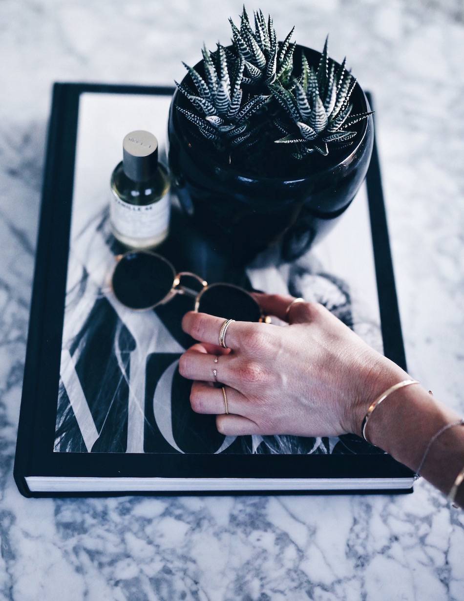 marble coffee table styling with succulent