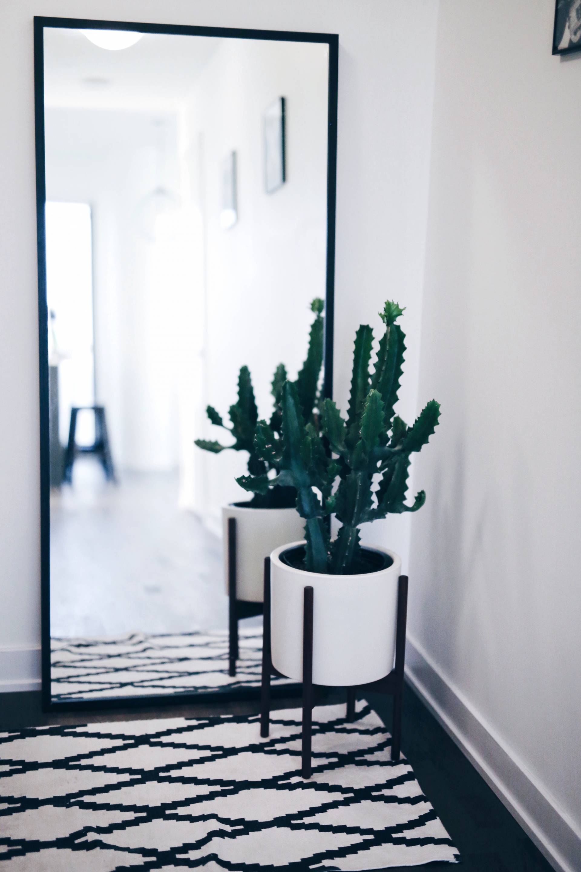 modern white planter with cactus, geometric rug