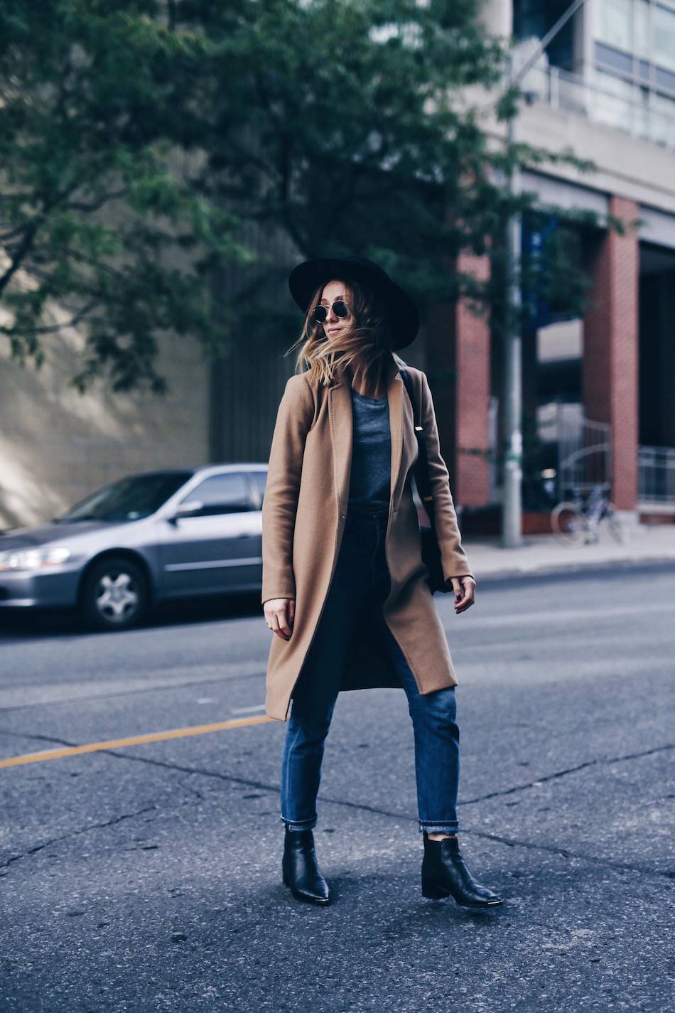 Aritzia best sale stedman coat